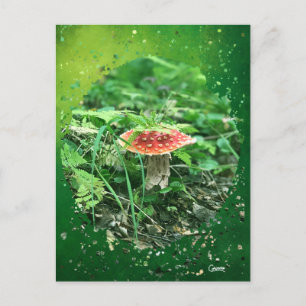 Cartão Postal Voe Agaric - Cartão-postal