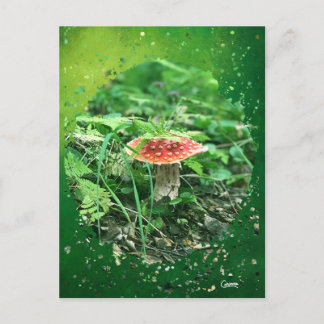 Cartão Postal Voe Agaric - Cartão-postal