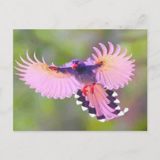 Cartão Postal vogal