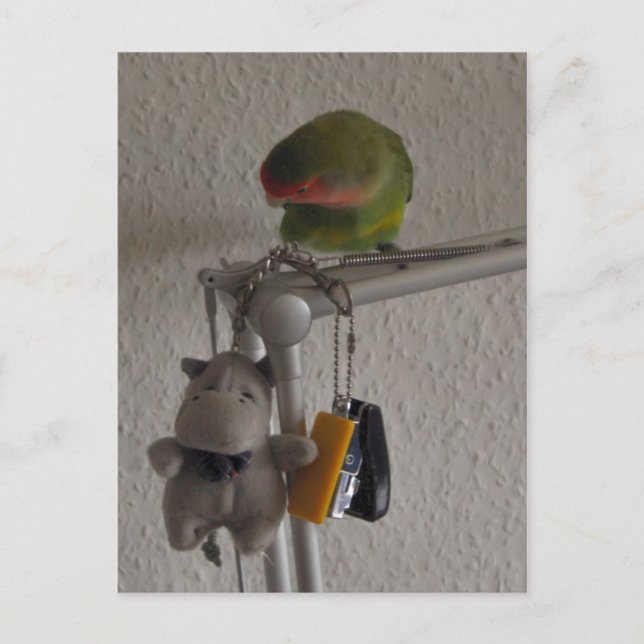 Cartão Postal Vogel (Frente)