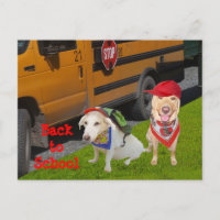 Volta à escola personalizável