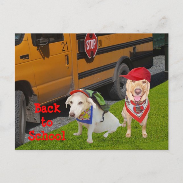 Cartão Postal Volta à escola personalizável (Frente)