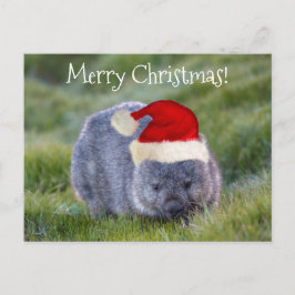 Cartão Postal Vombat Austrália Red Santa Hat Feliz Natal