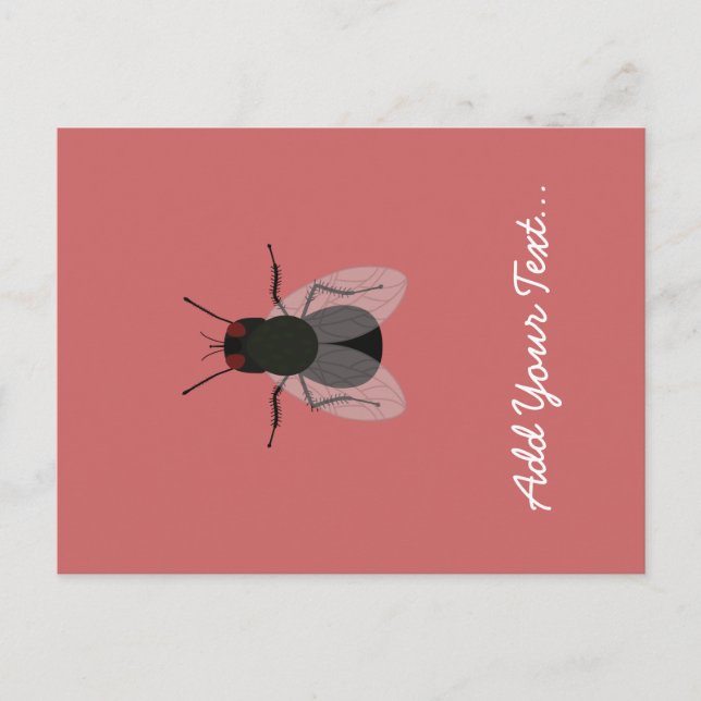 Cartão Postal Voo (Frente)