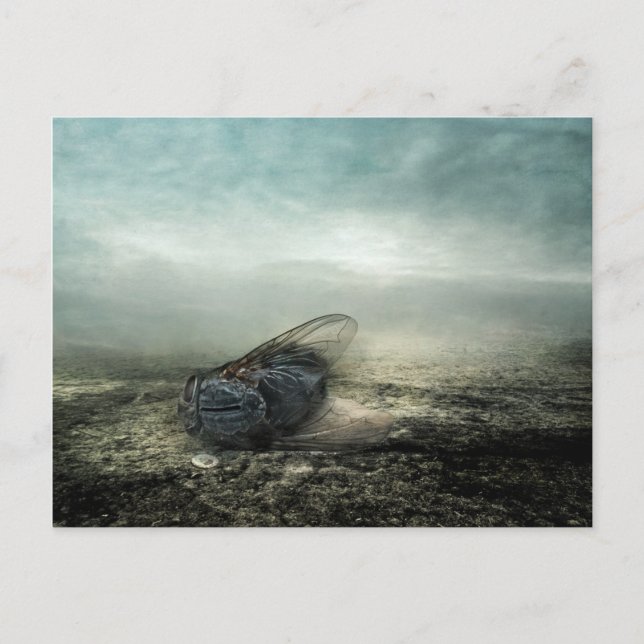 Cartão Postal Voo 2013 (Frente)