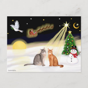 Cartão Postal Voo da Noite - Dois gatos Abissínia