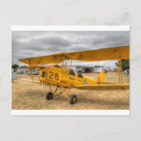 Voo de 80 do Aniversário do Tiger Moth