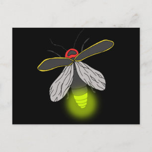 Cartão Postal voo de inseto relâmpago aceso