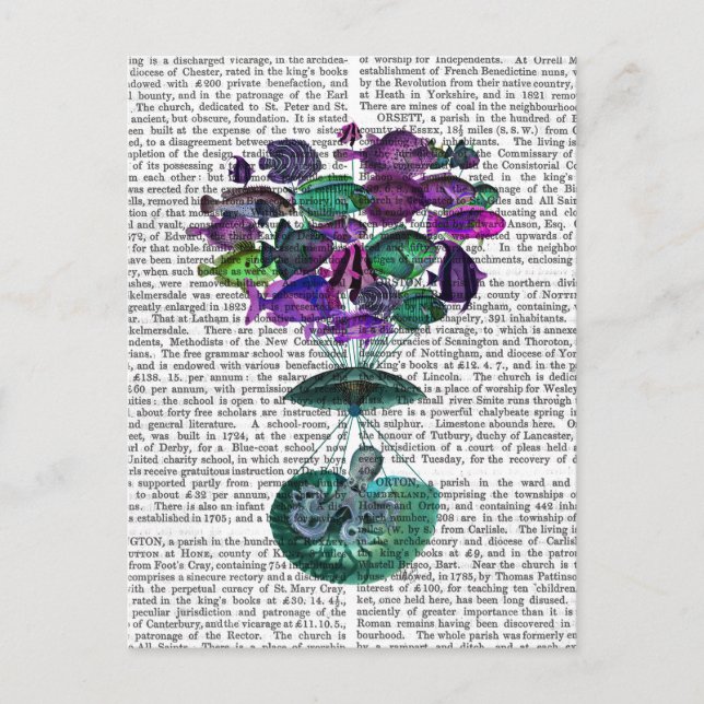 Cartão Postal Voo Do Balão De Ar Quente De Peixes (Frente)