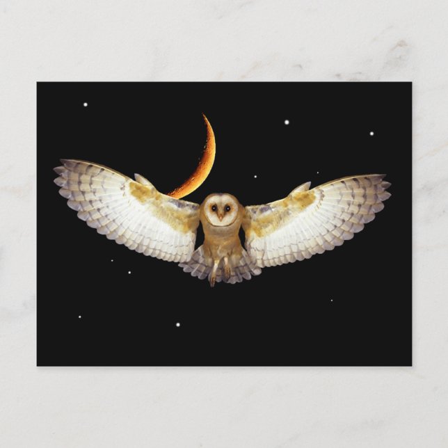Cartão postal "Voo Noturno" (Frente)