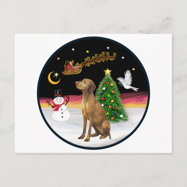 Cartão Postal Voo Noturno (R) - Vizsla (Frente)