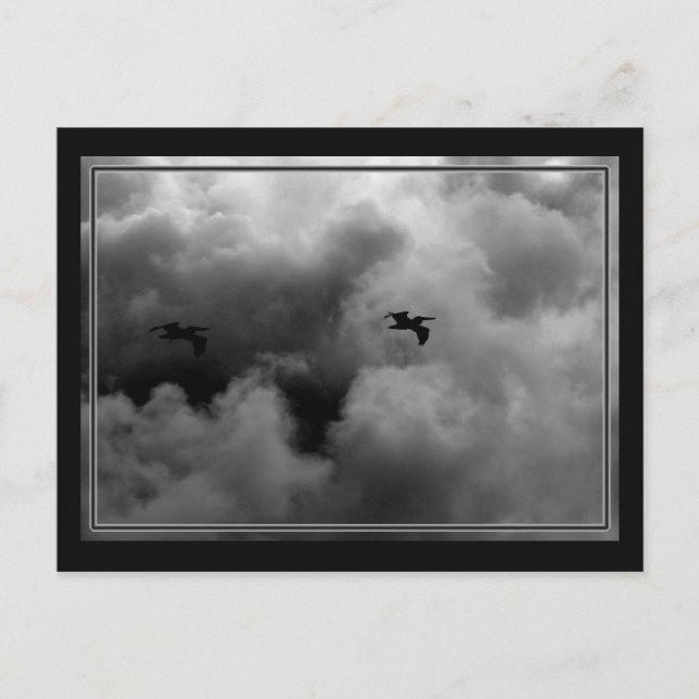 Cartão Postal Voo Pelicano (Frente)