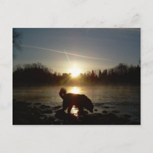 Cartão Postal Voo sobre o rio Mississippi