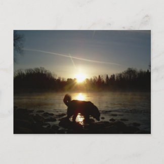 Cartão Postal Voo sobre o rio Mississippi