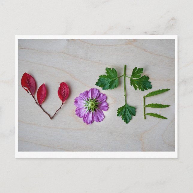 Cartão Postal Voto (Frente)