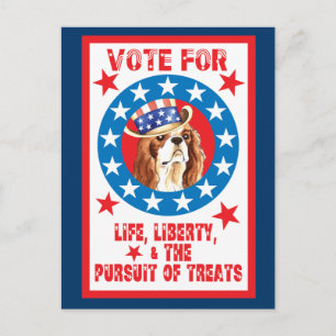 Cartão Postal Voto para Cavalier