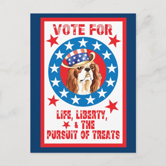 Cartão Postal Voto para Cavalier (Frente)