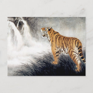 Cartão Postal Voz do Tigre
