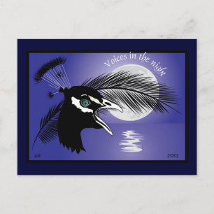 Cartão Postal Vozes na noite do Postkarte