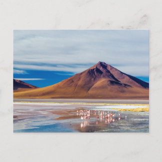 Cartão Postal Vulcão e Flamingos