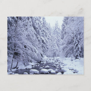 Cartão Postal WA, Floresta Nacional Mount Baker-Snoqualmie,