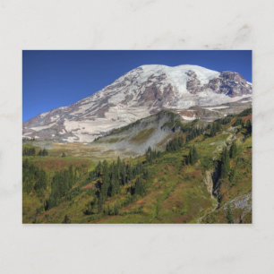 Cartão Postal WA, Parque Nacional Mt. Rainier, vista da