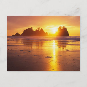 Cartão Postal WA, Parque Nacional Olímpico, praia Shi Shi ao pôr