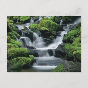 Cartão Postal WA, Parque Nacional Olímpico, Vale de Sol Duc, ria