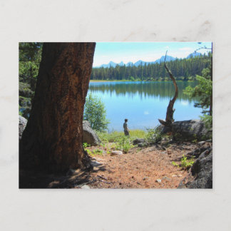 Cartão postal Wabasso Lake