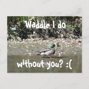 Cartão Postal Waddle, sem você? :(
