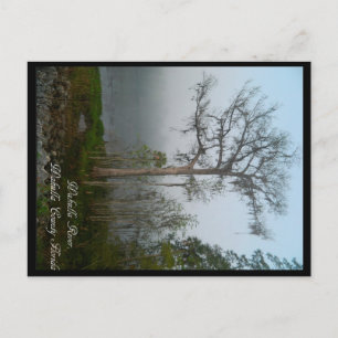 Cartão postal Wakulla County Florida