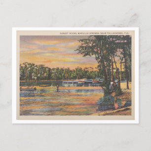 Cartão Postal Wakulla Primaveras Florida Vintage Sunset