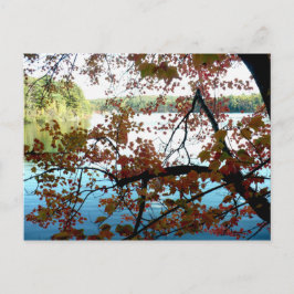 Cartão Postal Walden Pond através das Folhas de outono