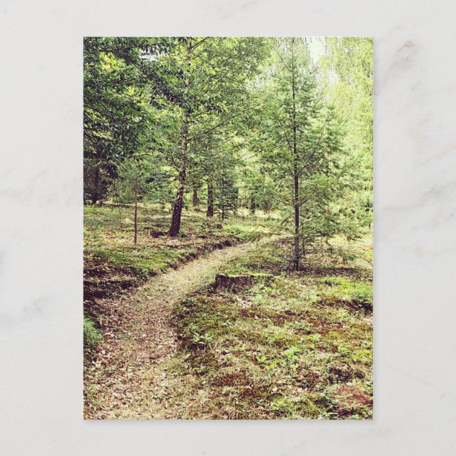 Cartão Postal Walk in the park (Frente)