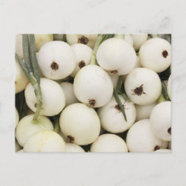 Cartão Postal Walla Walla Sweet Onions