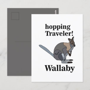 Cartão Postal Wallaby Animal Comprando Viajante Selvagem Engraça