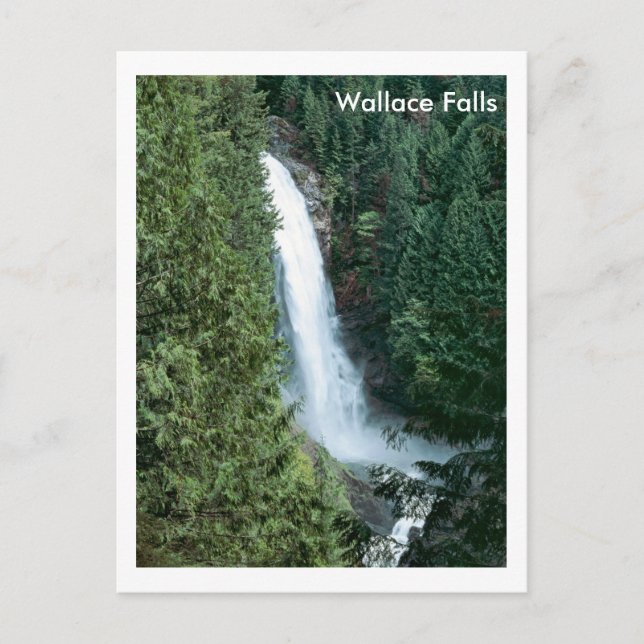 Cartão Postal Wallace Falls (Frente)