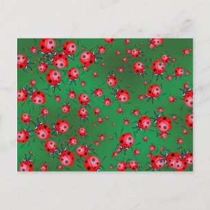 Cartão Postal Wallpaper Ladybug