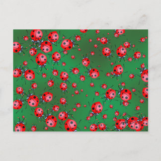 Cartão Postal Wallpaper Ladybug