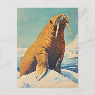 Cartão Postal Walrus vintage