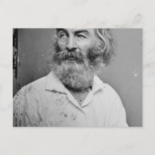 Cartão Postal Walt Whitman