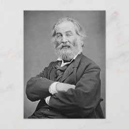 Cartão Postal Walt Whitman Assistiu Retrato Fotografia 47 Anos