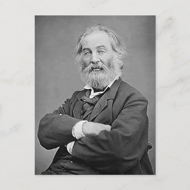 Cartão Postal Walt Whitman Assistiu Retrato Fotografia 47 Anos (Frente)