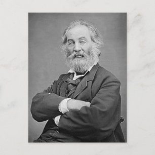 Cartão Postal Walt Whitman Seated Portrait Photograph Age 47