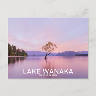 Cartão Postal Wanaka Tree Sunrise Nature Viagem