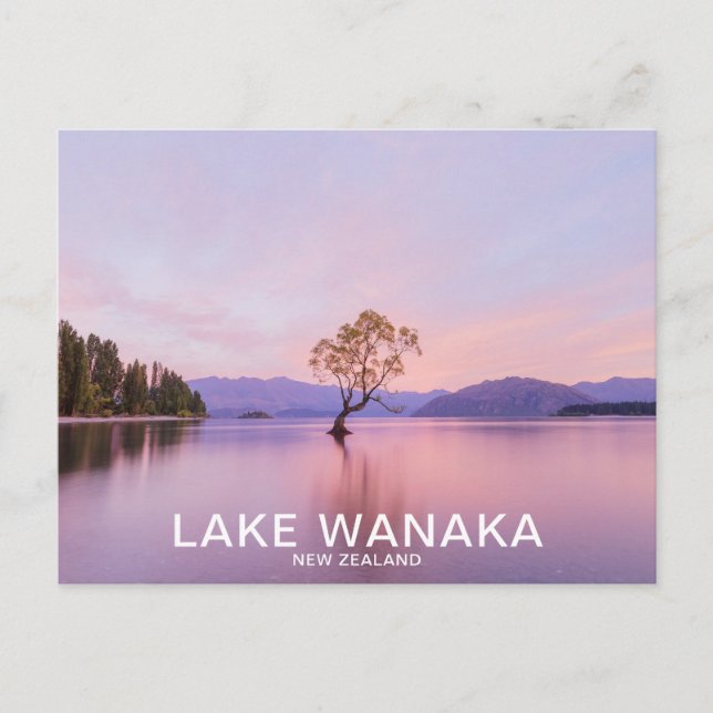 Cartão Postal Wanaka Tree Sunrise Nature Viagem (Frente)