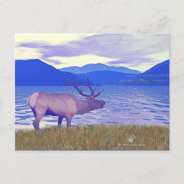 Cartão Postal Wapiti (Elk) Pelo Lago (Frente)