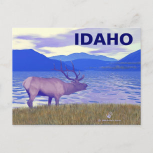 Cartão Postal Wapiti (Elk) Pelo Lago