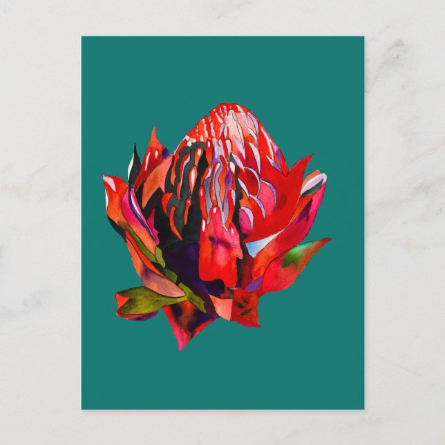 Cartão Postal Waratah, cor-de-água natural da Austrália (Frente)