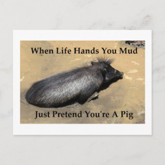 Cartão Postal Warthog Picture com a citação "quando a vida te dá